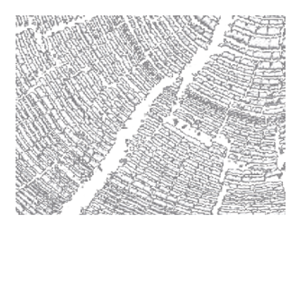 holzme.ch